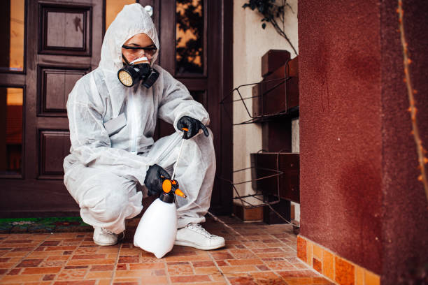 Reliable Cockroach Control contractor in Bellingham, WA by Nex Pest Control